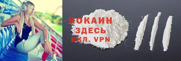 дживик Абинск