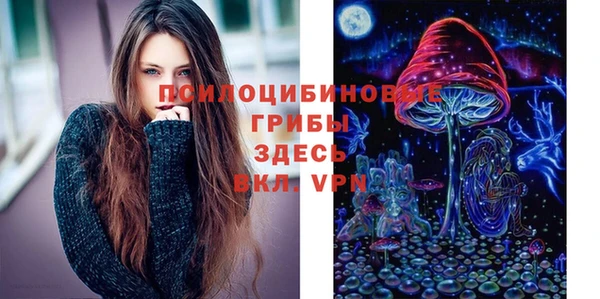 дживик Алексин