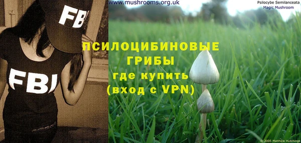 2c-b Абдулино