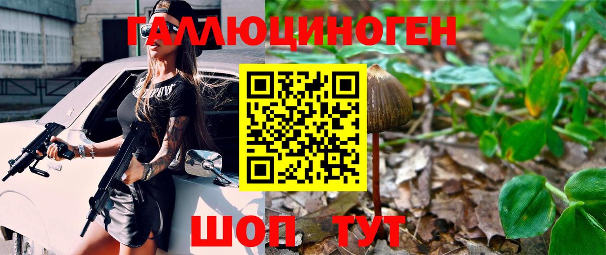 Симферополь  Галлюциногенные грибы GOLDEN TEACHER  Вход с VPN 